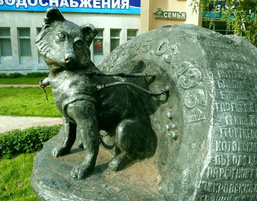 Памятник собаке-космонавту Звездочке в Ижевске.