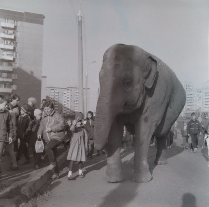 Улица 40 лет Победа/Ленина, фото середины 1980-х г. Ижевск.