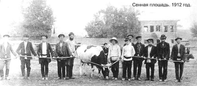 Выставка скота на Сенной площади Ижевска. 1912 год.