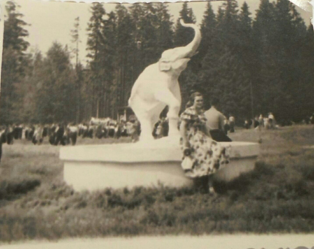 Скульптура - Слон. В парке Кирова. 1957 г.
