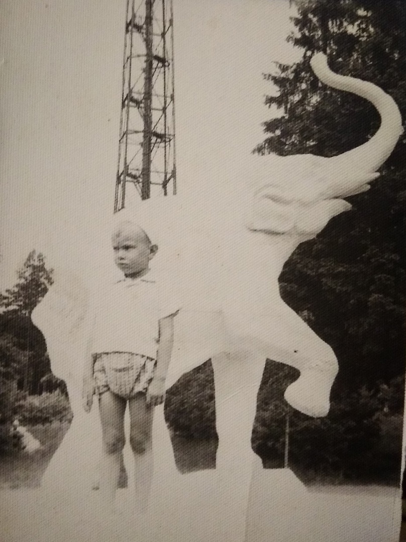 Скульптура - Слон. Парашютная вышка. В парке Кирова.