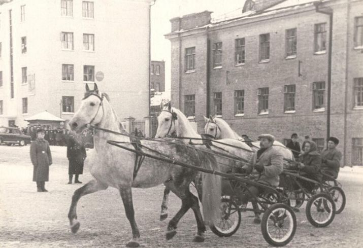 Наездники на лошадях на демонстрации 7 ноября 1964 года. Гречкин Пётр Акимович, НМУР. Ижевск.